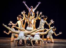 une-exposition-photographique-a-loccasion-du-30e-anniversaire-de-codanza
