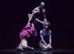 danzar-en-la-potencia-de-un-pensamiento-coreografico-in-progress-i