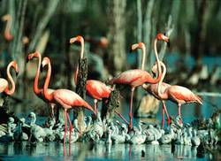 parc-national-de-caguanes-tresor-des-merveilles-de-cuba