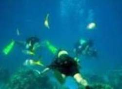 punta-perdiz-giron-et-les-surprises-de-cuba