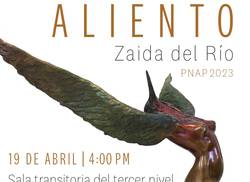 zaida-del-rio-desde-el-aliento-en-bellas-artes