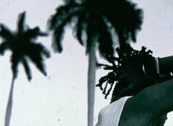 lettres-de-cuba-juillet-2020