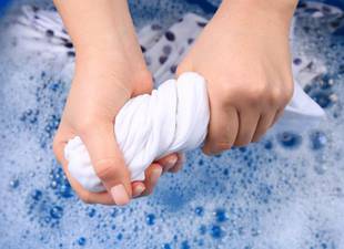 elogio-de-la-paloma-que-no-siempre-es-blanca