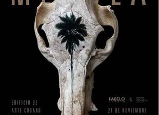 expondra-en-la-habana-destacado-artista-visual-cubano-roberto-fabelo