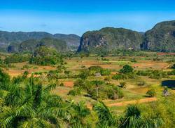 vinales-vivo-veinte-razones-para-no-perderse-el-festival