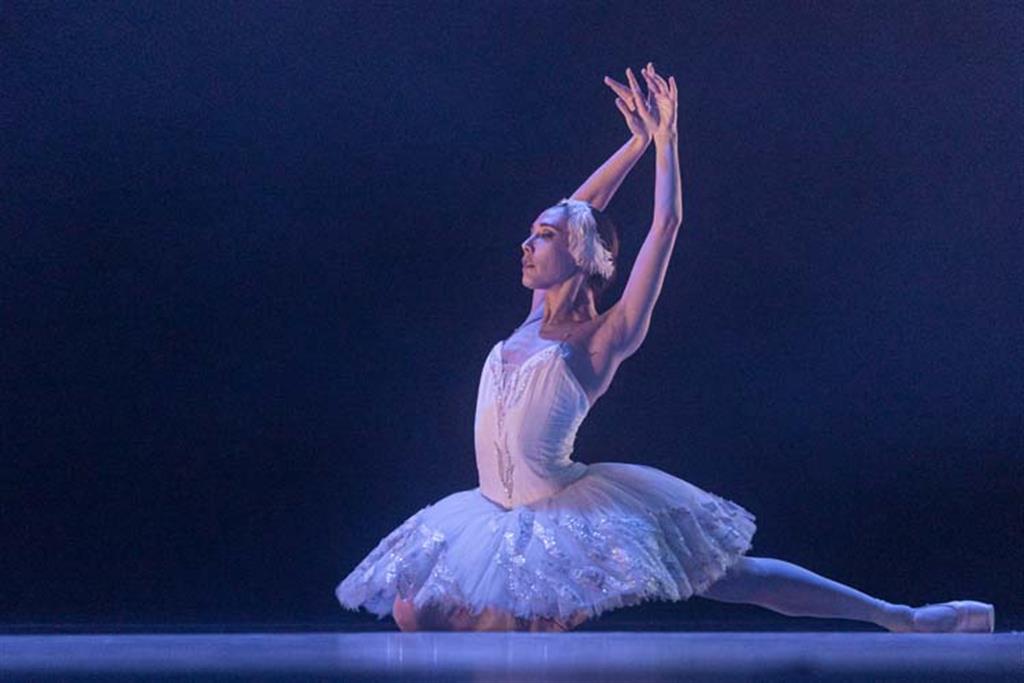 don-quijote-el-corsario-y-mas-en-festival-de-ballet-en-cuba-fotos
