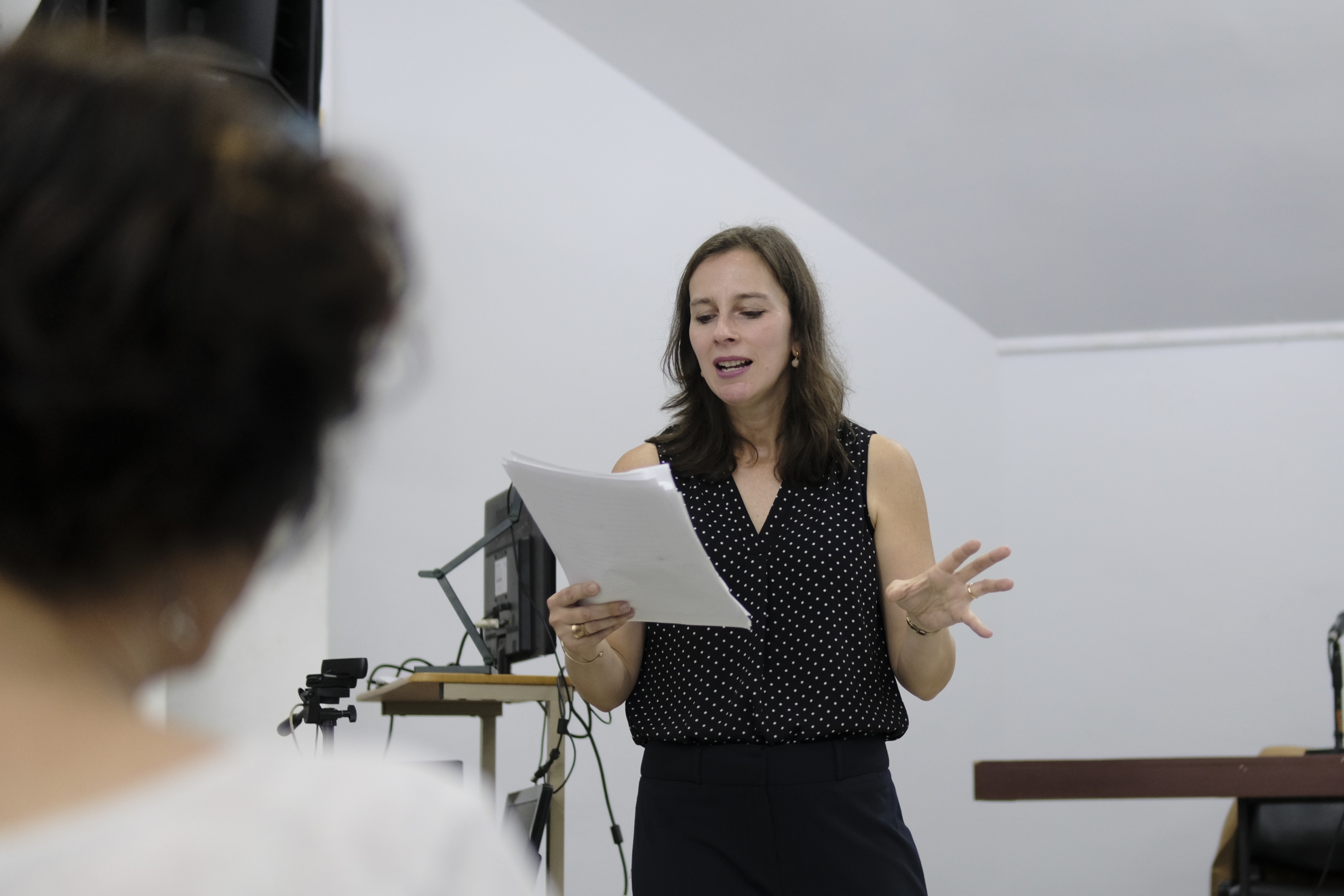 ambientes-ficcionales-las-novelas-de-guimaraes-rosa-y-rulfo