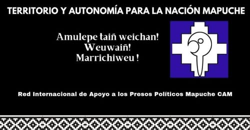 el-wallmapu-se-defiende-alto-a-la-violencia-contra-el-pueblo-nacion-mapuche