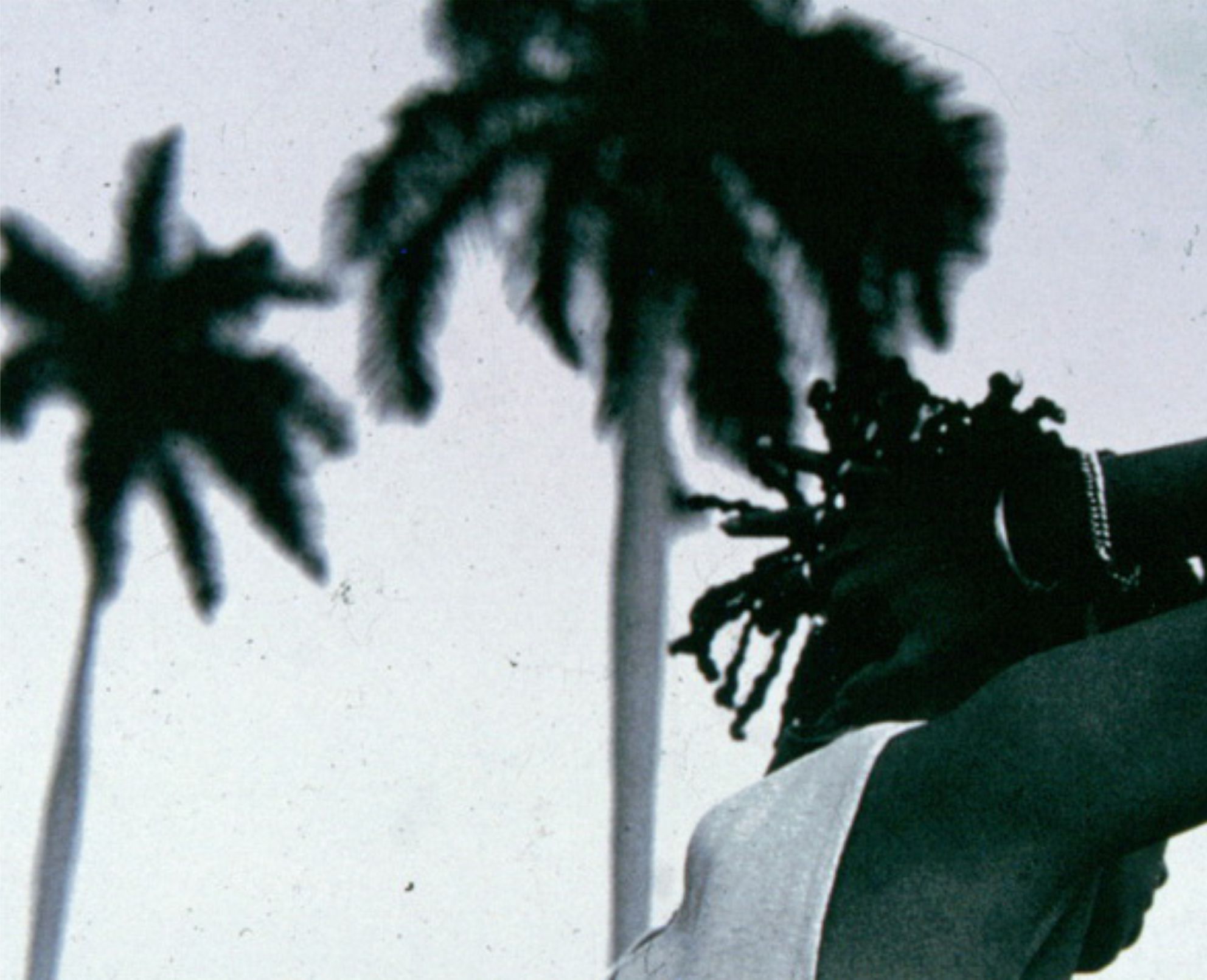 lettres-de-cuba-juillet-2020