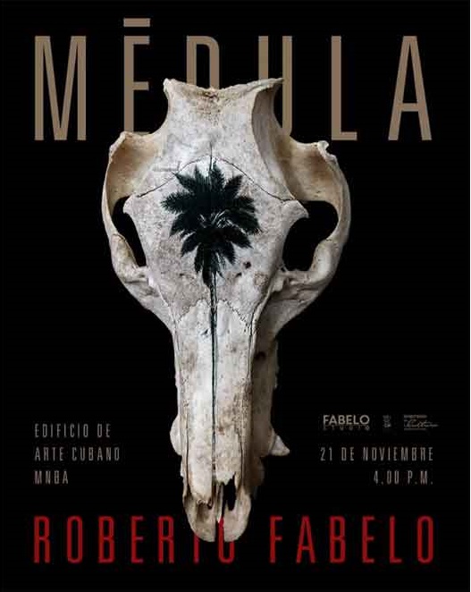 expondra-en-la-habana-destacado-artista-visual-cubano-roberto-fabelo