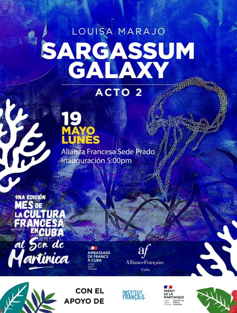 inauguraran-exposicion-de-louisa-marajo-en-la-alianza-francesa