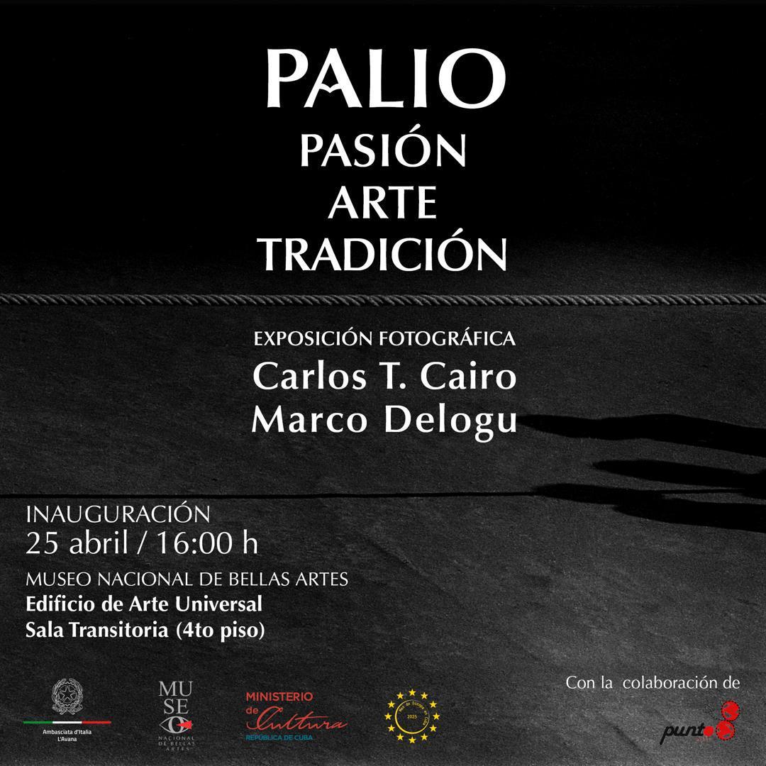 palio-pasion-arte-tradicion
